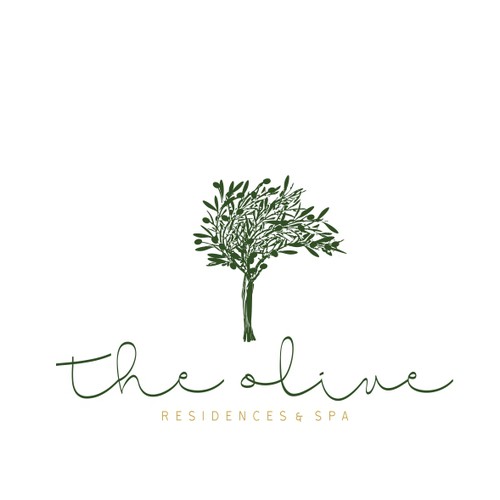 Spa design with the title 'THE OLIVE'