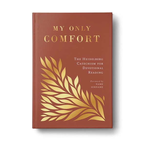 Classic book cover with the title 'My Only Comfort '