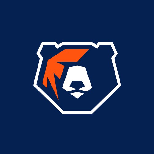 Grizzly bear logo with the title 'BFTV'