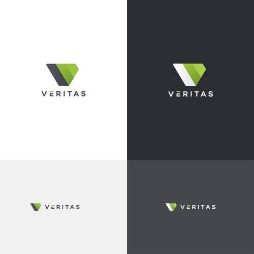 25+ Letter V Logo Designs for 2023 - MasterBundles