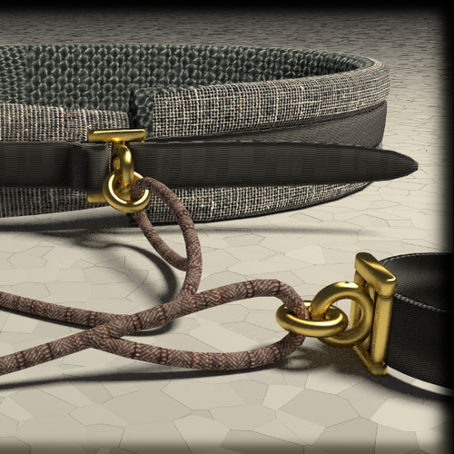 Belt design with the title 'Product Design for Pet Accessories '