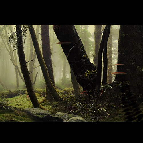 Photography artwork with the title 'Fantasy Forest '