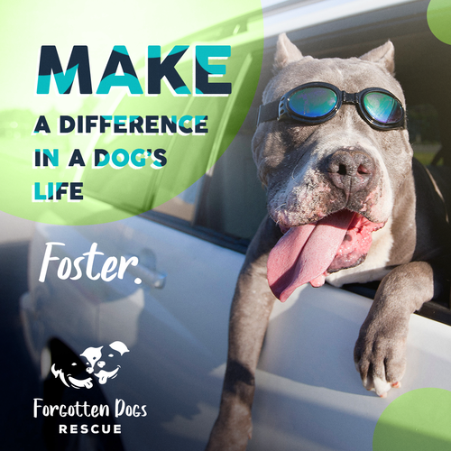 Instagram ad design with the title 'Facebook Instagram Ad'