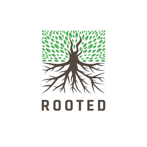Tree root logo with the title 'Rooted Logo'