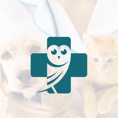Owl brand with the title 'Owl Medical Logo'