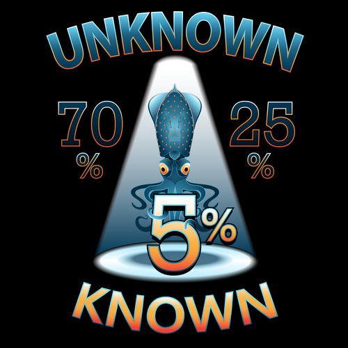 Universe t-shirt with the title 'Tshirt Design to represent unknown knowledge of the universe'