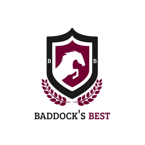 Horse racing design with the title 'Create a modern design for exciting horse racing tipping service.'