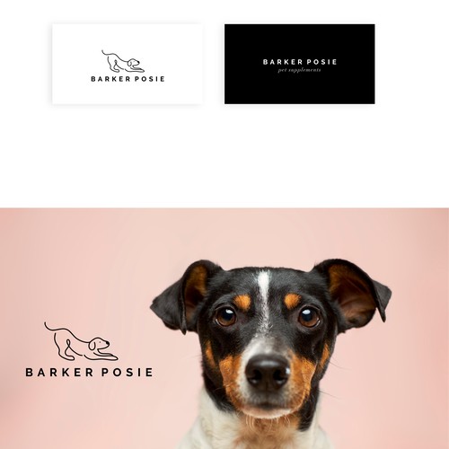 Pet brand with the title 'Minimal and eye-catching logo design for pet brand'