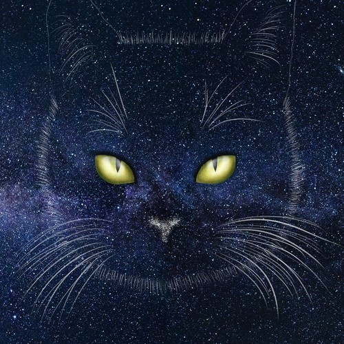 Star illustration with the title 'Drawing space cat'