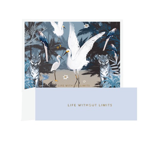 Animal packaging with the title 'Box Animal Luxury'