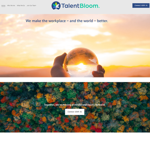 Diversity design with the title 'Website - Consulting Firm'