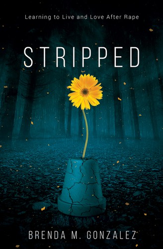 Creative book cover with the title 'Stripped '