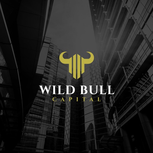 Finance logo with the title 'Wild Bull Capital'