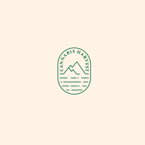 River logo with the title 'mountain + river'