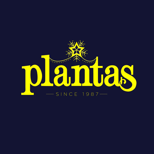 Christmas logo with the title 'Logo edesign for a christmas light decoration company.'