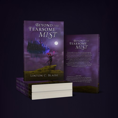 Warrior book cover with the title 'Book cover contest entry'