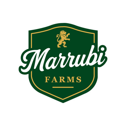 Strawberry design with the title 'Marrubi farms logo'