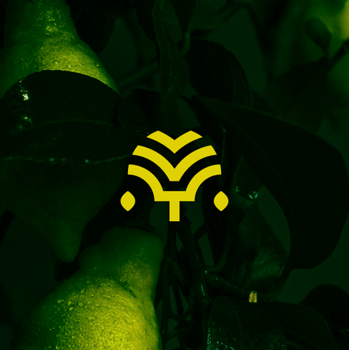 Citrus logo with the title 'Vicente Trapani - Lemon Essence Oil Industry Logo Design'