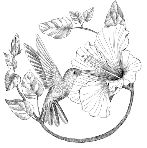 Bird t-shirt with the title 'bird lineart'