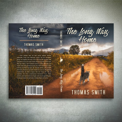 Journey design with the title 'The Long Way Home Book Cover'