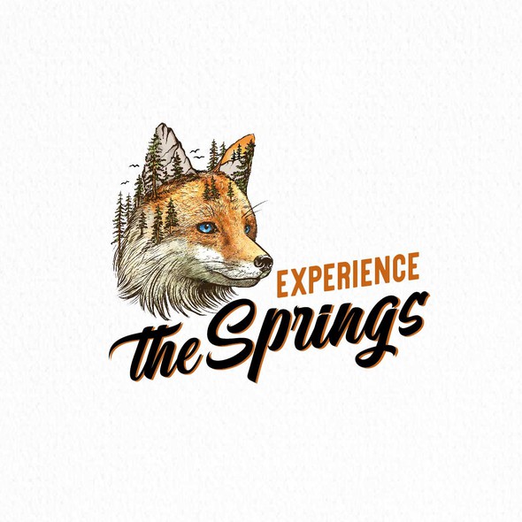 Red fox design logo with the title 'Experience the springs'