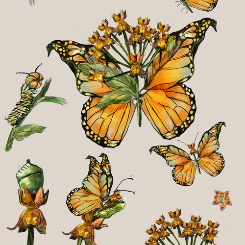 Butterfly artwork with the title 'hand drawn bisecting illustration'