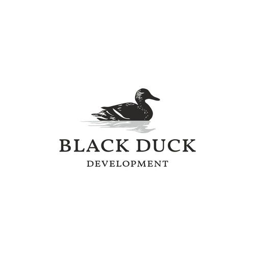 Management brand with the title 'Black Duck Development'