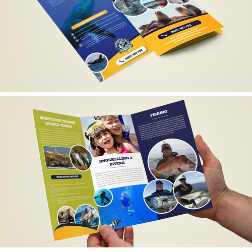 Tour design with the title 'Create a new Tour brochure for Narooma Tours & Charter Fish Narooma'