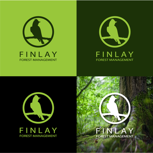 Jungle logo with the title 'Finlay Final Logo'
