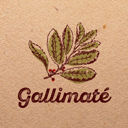 Earthy design with the title 'Logo concept for Gallimaté'