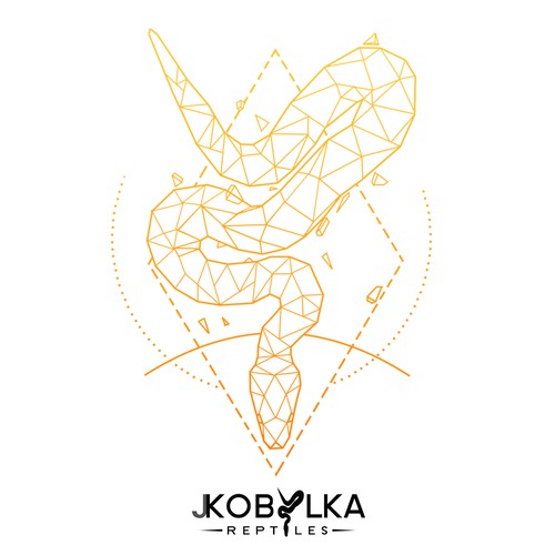 Geometric t-shirt with the title 'geometric snake'