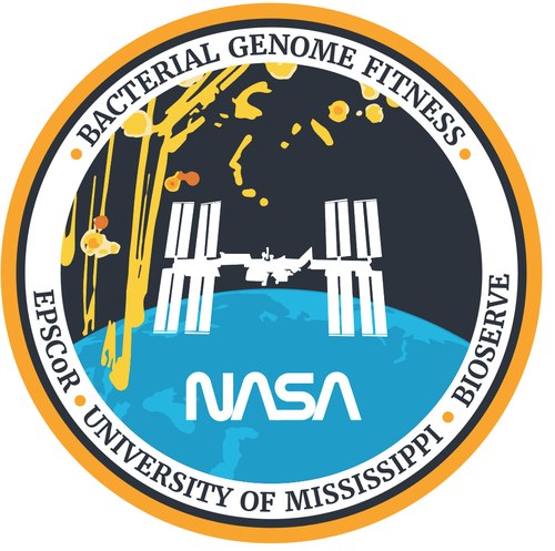 NASA design with the title 'Spaceflight Mission Patch'