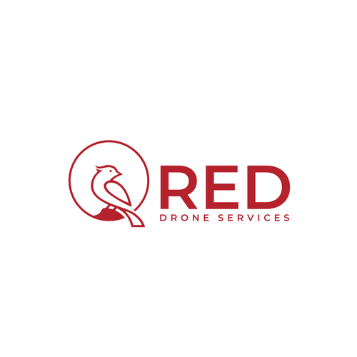 Drone brand with the title 'Drone Logo'