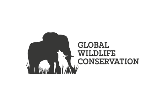 Tribal lion logo with the title 'Wildlife logo'