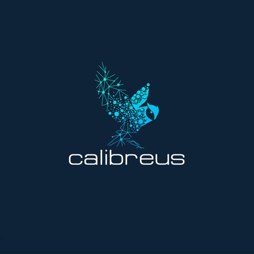 Study logo with the title 'Calibreus - a dream comes true'