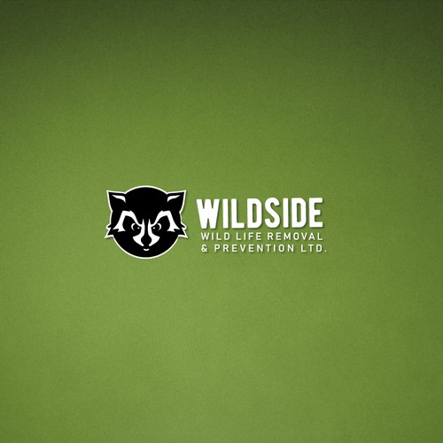 Raccoon logo with the title 'Racoon Logo'