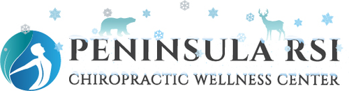 Winter logo with the title 'Holiday winter theme'