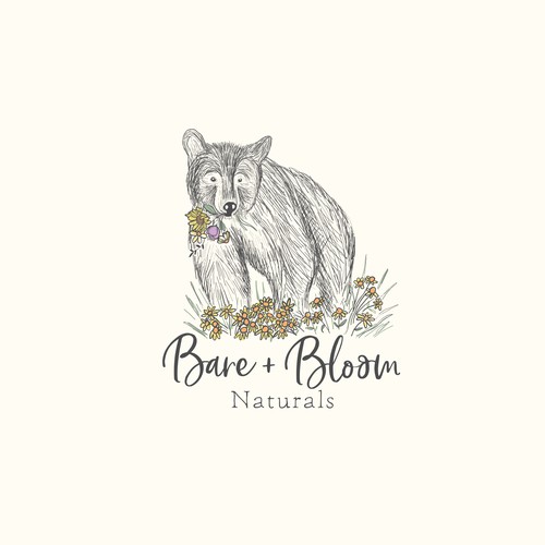 Bear design with the title 'Bare + Bloom'