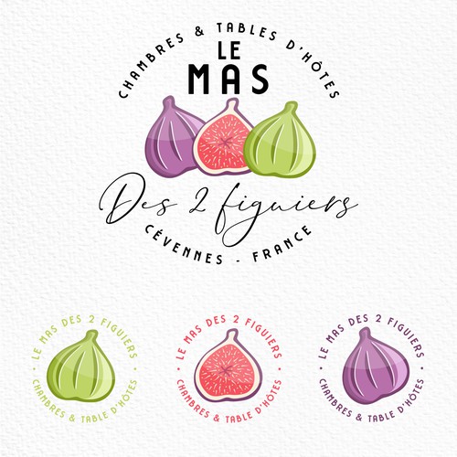 French logo with the title 'Logo for bed and breakfast "Le mas des 2 figuiers".'