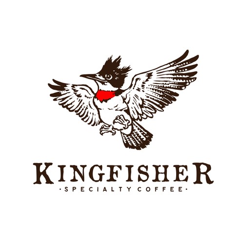 Coffee brand with the title 'Logo Concept for Kingfisher - Specialty Coffee'
