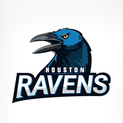 Raven logo with the title 'Houston Ravens'