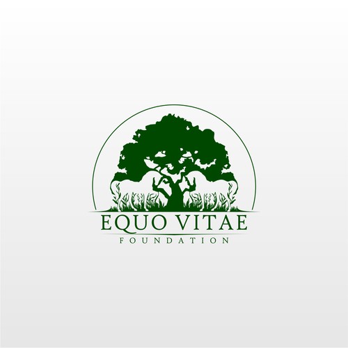 Race horse  logo with the title 'Equo Vitae Foundation'