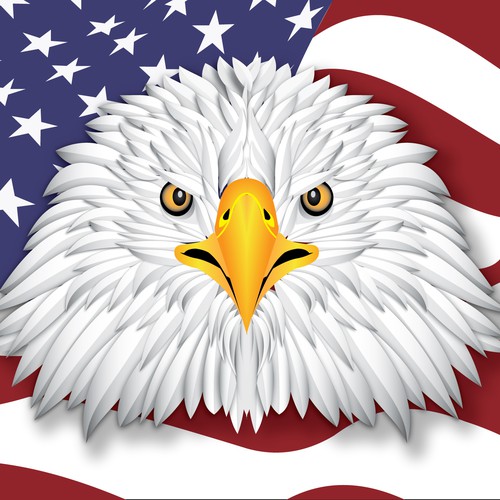 Eagle artwork with the title 'Eagle feather sculpt'