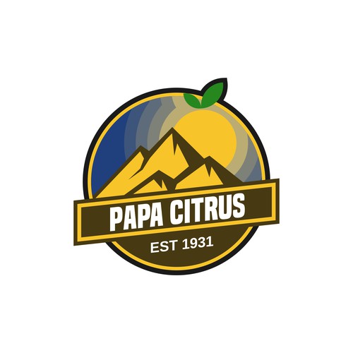 Citrus logo with the title 'Vintage logo for drink brand '