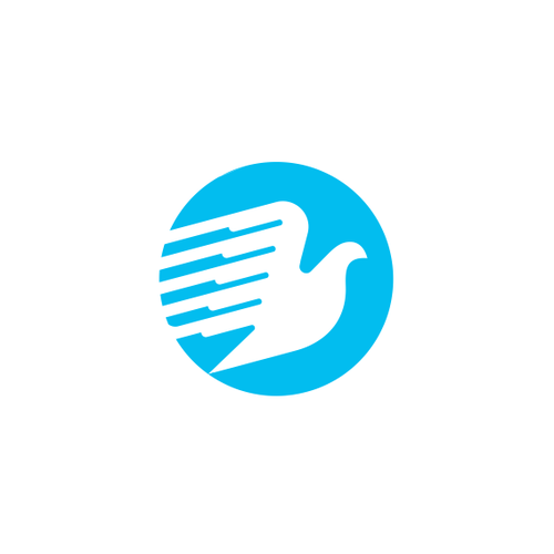 Accounting brand with the title 'Flying Bird Logo Concept'