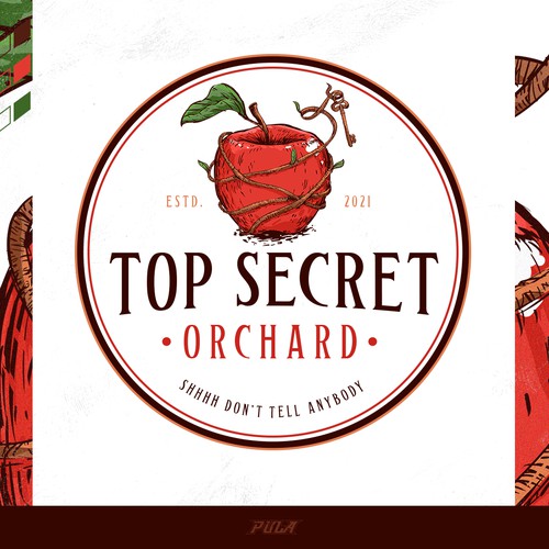 Whimsical logo with the title 'A classic and whimsical logo design for Top Secret Orchard'