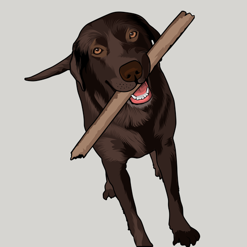 Stick design with the title 'Indy'