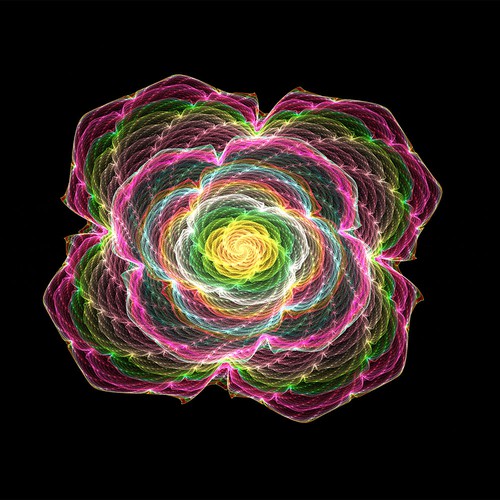 Floral illustration with the title 'fractal art- flower'
