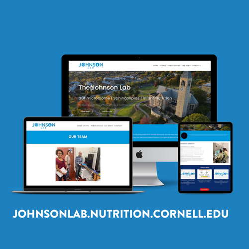 Science website with the title 'THE JOHNSON LAB | Research Facility'