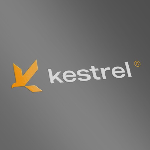Eagle brand with the title 'Kestrel Logo Proposal'
